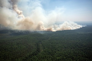 ИНК участвует в тушении лесных пожаров на севере Иркутской области