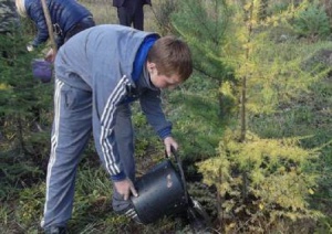 ИНК приняла участие в проведении XIII областного слета школьных лесничеств