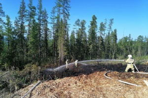 ИНК помогла в тушении лесных пожаров в Якутии